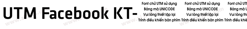 UTM Facebook KT字体转换